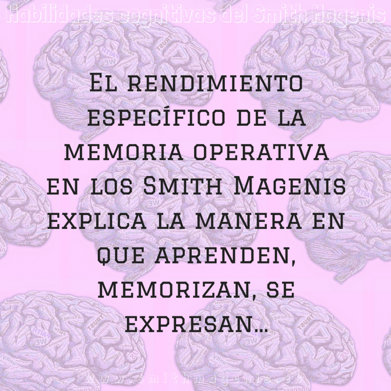 la_memoria_de_trabajo_o_memoria_operativa