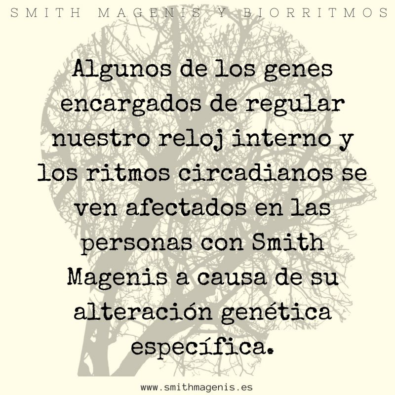 relojinternoyritmoscircadianos