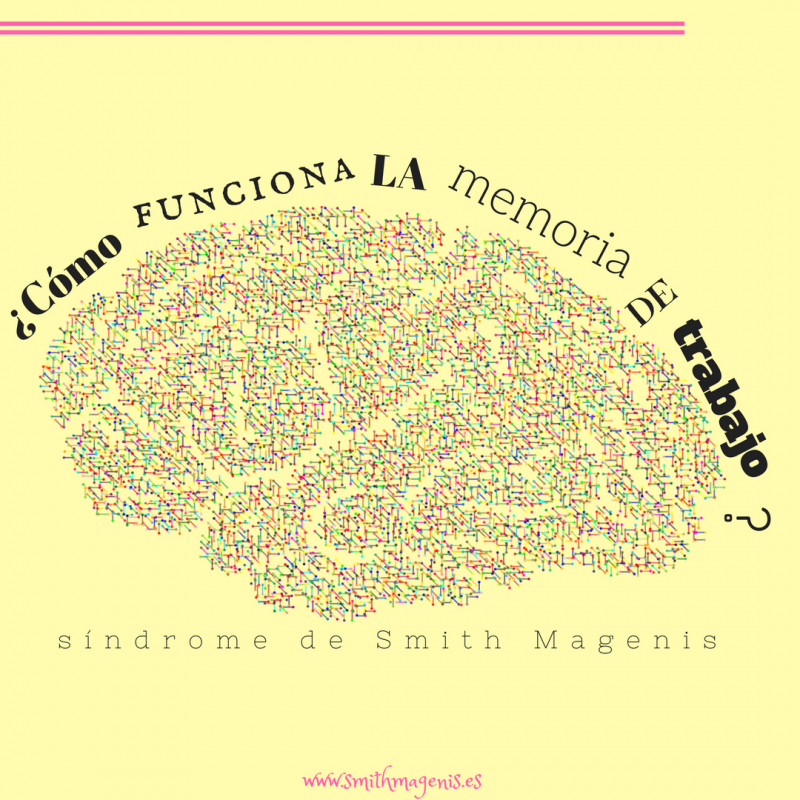 la_memoria_de_trabajo_o_memoria_operativa