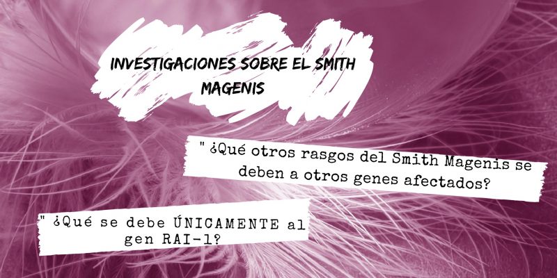 estudio-genético-reciente-sobre-el-smith-magenis