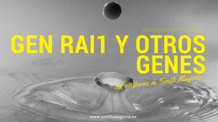 relación-entre-el-gen-RAI1-y-el-Smith-Magenis