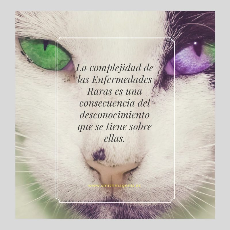 que-son-las-enfermedades-raras-