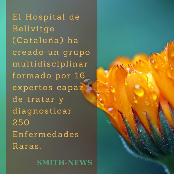 3 noticias sobre síndromes genéticos